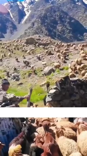 Gadjetlar | Texnologiya | Telefonlar on Instagram