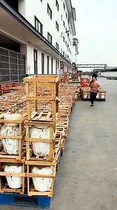 770K views · 2.4K reactions | Illegal goods were taken out after opening the box ☹️ #facts | XOSS Facts | Facebook