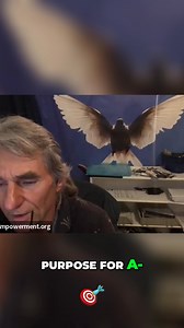 3.8K views · 100 reactions | Confused about irrevocable and revocable trusts? This video breaks down the key differences, focusing on your ability to add assets and make changes. Understand your options and plan your estate effectively. #Trusts #EstatePlanning #IrrevocableTrust #RevocableTrust #FinancialPlanning | Solutions Empowerment | Facebook