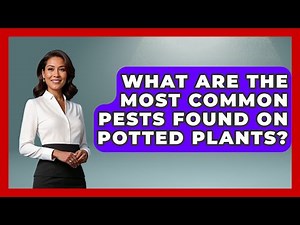 What Are The Most Common Pests Found On Potted Plants? - Insects and Invaders