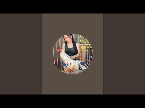 Kênh Yêu Thương Và Bảo Tồn Động Vật - Hướng Dẩn Cách Chăm Sóc Động Vật 