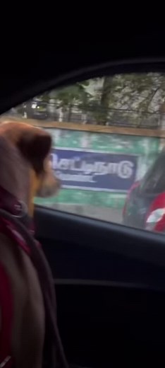 #ennaramalingam #vadivelucomedy