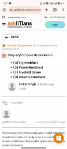 Only erythropoiesis occurs in(a) Erythroblast(b) Proerythrob... | Filo