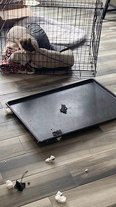 3.1K views · 4.3K reactions | Don't settle for cheap temporary...