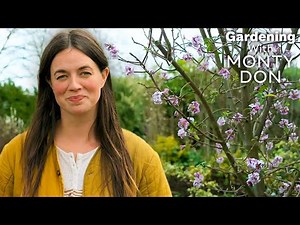 Inside Most Beautiful Winter Gardens | Gardeners' World Winter Specials