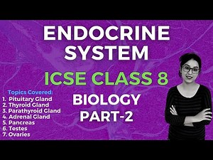 Endocrine System | ICSE CLASS 8 Biology | Part - 2