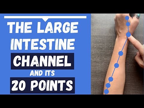 The Large Intestine Channel Meridian & Large Intestine Acupuncture Points