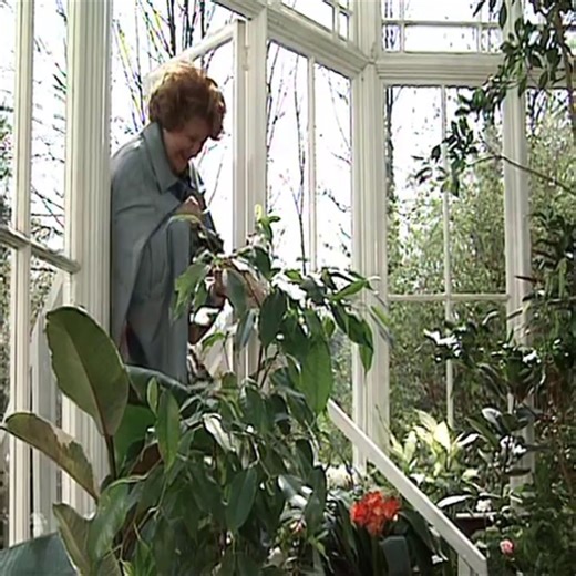 Keeping Up Appearances - S01E01 -Daddy's Accident B | Tapicería Auto & Lujo