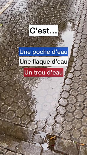 Du vocabulaire pour le niveau avancé, C2 ou C2 en français 💧🇫🇷