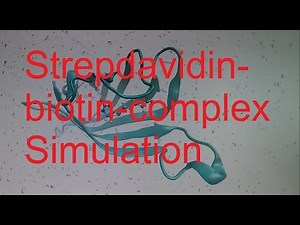 Streptavidin-biotin-complex simulation