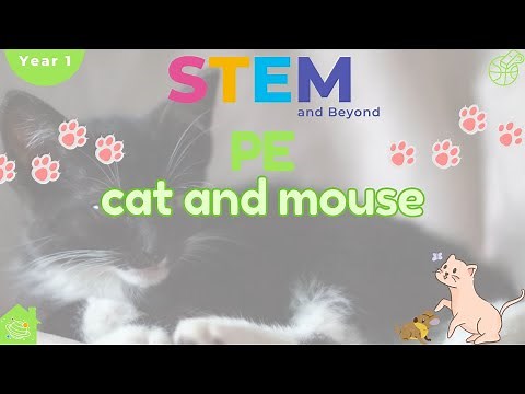 Cat and Mouse | KS1 Year 1 PE | Home Learning
