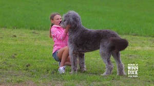One small girl and one big dog are about to shake up this town! Get the scoop on this vibrant new musical based on the beloved book BECAUSE OF WINN DIXIE. Let Grammy and Tony winner Duncan Sheik (Spring Awakening) and Tony nominee Nell Benjamin (Legally Blonde, Mean Girls) take you on a heartwarming adventure for all ages - this summer at Goodspeed. LEARN MORE: bit.ly/2Y1VS5e | Goodspeed Musicals