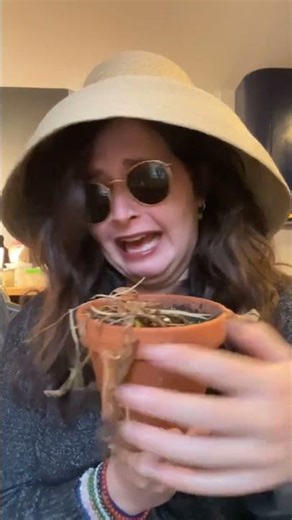 Spooky season plant funeral (silly vid serious caption) 💀 I lost a lot of plants this year