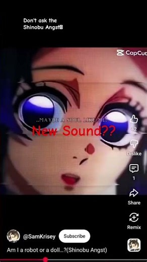 Dont ask why I was Watching Shinobu Angst✨✨