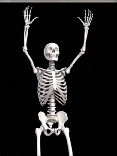 Class 12th thermodynamics complete formulas #class12#thermodynamics#physicsformula#boards2026#short