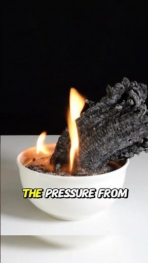 Ever Seen the Black Snake in Action? #viral