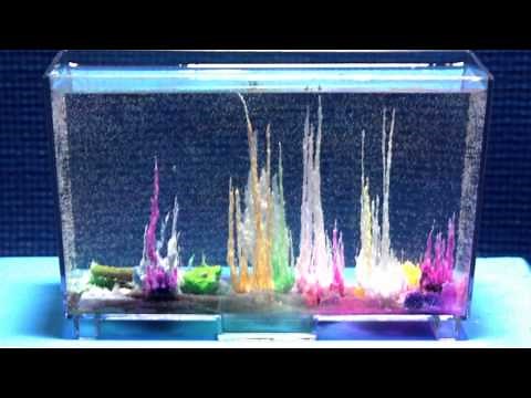 Magic Rocks Time Lapse Photography