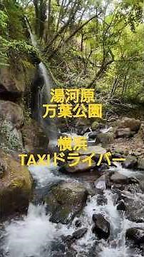 湯河原万葉公園 #旅行先カメラ散歩 #ショート動画＃湯河原＃万葉公園