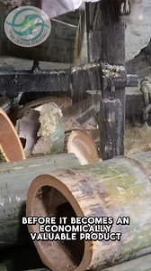 how bamboo boards are made #bamboo #bambooart | The plantskeeper