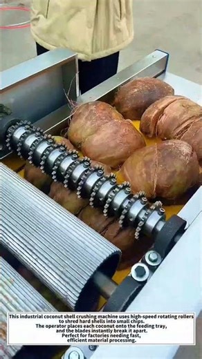 Extreme Coconut Shell Crushing Machine – High-Speed Industrial Shredder Turns Hard Shells Into Chips
