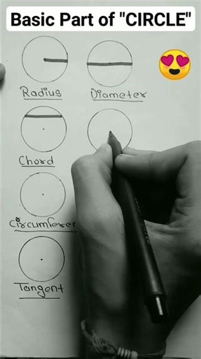 Parts Of Circle | Circle #maths #geometry #radius #diameter #youtube #shorts #viral.