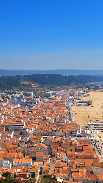 Exploring the Beauty of Swiss Nature and Alps