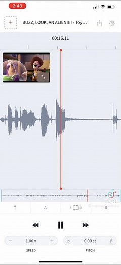 Toy Story (1995) BUZZ, LOOK AN ALIEN AudioStretch