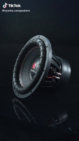 H YANKA BSP-12-2: 12 Inch Subwoofer Review