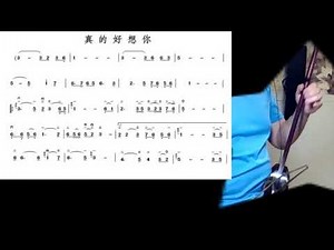 真的好想你 Joe 二胡 Really miss you - played by erhu
