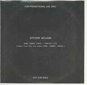 Steven Wilson - Hand Cannot Erase / Perfect Life