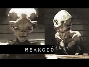 Interjú egy idegennel [TELJES]