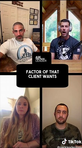 Pack Leader Dogs on TikTok