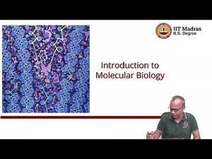 Introduction to Molecular Biology