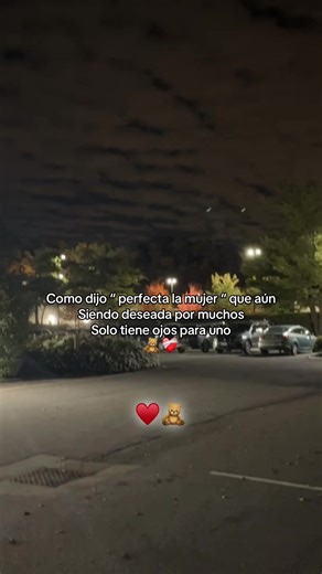 The Perfect Woman: Loyalty and Devotion