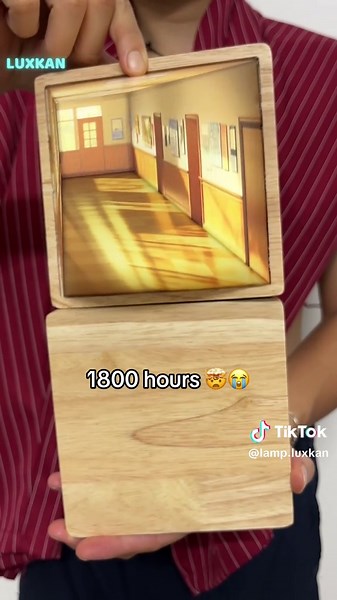 Lamp Luxkan op TikTok