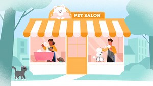 Animated Explainer for Insurance Company | Pie | Vidico