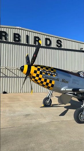 Listen to that Merlin! | P-51D Startup