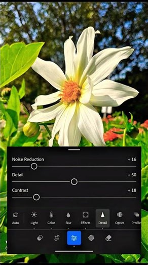 Transform Your Garden Photos: Pro Editing Tutorial for Flowers! 🌸✨" #flowers #shorts