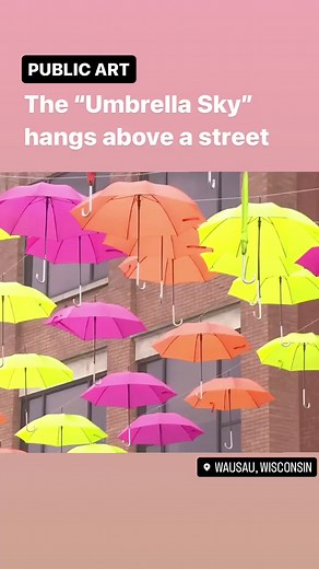 13K views · 25 reactions | WPLG Local 10 on Reels | Facebook