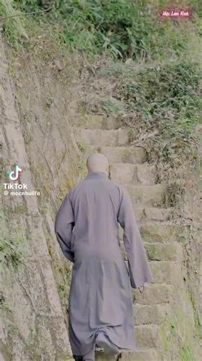 Pinging (@pinhunglin) 的影片使用了 原聲 - Lin - Pinging