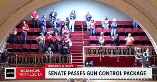 Minnesota Senate passes gun control package along party lines