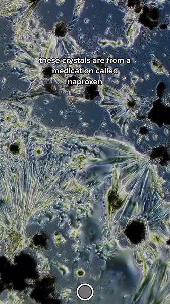 Exploring the Beauty of Microscopic Crystals