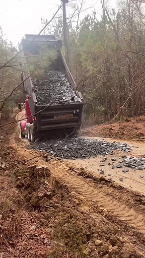 Tigercat 620E Logging Machine: A Forest Productivity Powerhouse