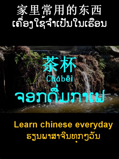 家里常用的东西สิ่งของที่ใช้กันทั่วไปในบ้าน 茶杯ถ้วยชา 牙刷แปรงสีฟัน 毛巾ผ้าเช็ดตัว 梳子หวี 纸巾กระดาษทิชชู