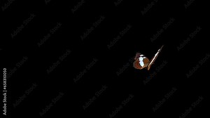 Admiral Butterfly - Flying Around Loop - Realistic 3D animation loop with alpha channel isolated on transparent background