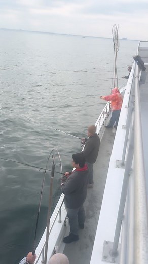 You guys missed it today blackfish are chewing come on down 7:30am everyday 6:30am for our togathons which you can prepay online limited capacity. | Captain Cal 2 Belmar