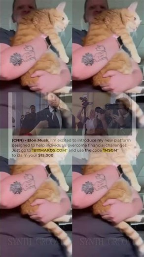 Laughing Out Loud With Hilarious Derpy Cat Moments – Synth Groove #26 699s