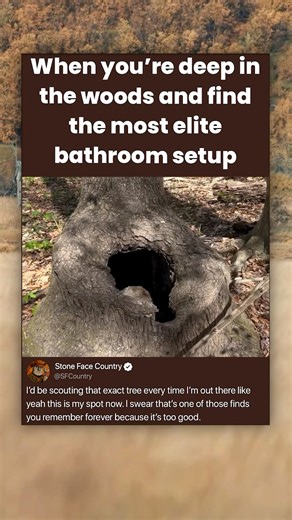 When you're deep in the woods and find the most elite bathroom setup