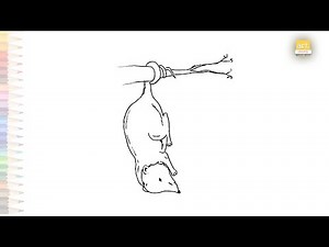 Possum hanging with tail drawing | Easy Art videos | How to draw Possum step by step