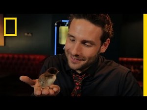 Brain Magic - The Morality Illusion | Brain Games